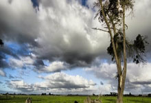 凯发娱乐:西媒:阿劳霍将先前往阿根廷,与拉菲尼亚等人一起飞往马德里.