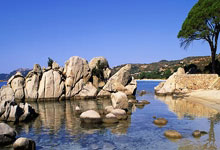 凯发娱乐:冰雪运动“燃”起来 你期待的亚冬会是什么颜色央视新闻客户端.